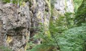 Randonnée Marche Thiézac - Les Gorges du Pas de Cère - Photo 18