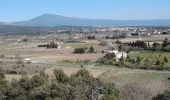 Excursión Senderismo Aubignan - les côtes de st Hippolyte 84 - Photo 6