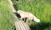 Tocht Stappen Loriol-sur-Drôme - De la vieille tour au château de Vaucourte - Photo 6