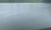 Trail Trail Capesterre-Belle-Eau - Barrage de routiers  - Photo 3