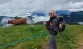 Tocht Stappen Les Gets - morzine col du mont chery - Photo 3