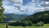 Tocht Stappen Vagney - Tourbières de la Grande Charme - Photo 1