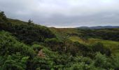 Tocht Stappen Conamara Municipal District - connemara national park - diamond hill - Photo 4
