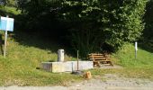 Trail Nordic walking Arbaz - Grimisuat  - Photo 1