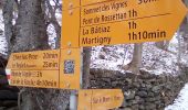 Randonnée A pied Martigny-Combe - Chemin pédestre de montagne, région Martigny - Photo 8