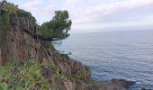 Trail Walking Argelès-sur-Mer - raccou - plage de l'ouillet par terre, retour par sentier littoral - Photo 15