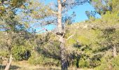 Trail Walking Cuers - Sous les barres de Cuers en partant de La Foux - Photo 3