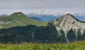 Tour Wandern Lus-la-Croix-Haute - Col de Chante - Jajere Lus la Croix Haute - Photo 4