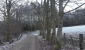 Trail Walking Vielsalm - petit tour au nord de Fraiture  - Photo 2