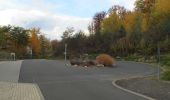 Tour Zu Fuß Helsa - Rundweg Ibachtal - Photo 10