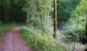 Trail Walking Monts - Monts - Ruisseau de Montison - 9km 95m 2h05 - 2020 09 06 - Photo 3