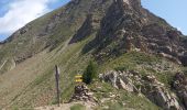 Tocht Stappen Réallon - Col de la Coupa - Photo 4