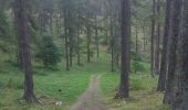 Trail Walking Embrun - lac de l hivernet via l aiguille, retour par pierre pointue - Photo 2