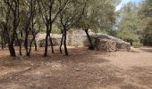 Excursión Senderismo Nages-et-Solorgues - Nages les capitelle - Photo 1