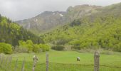 Randonnée Marche Chambon-sur-Lac - Vallée de Chaudefour - cascade du Moine - Photo 2