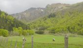 Trail Walking Chambon-sur-Lac - Tracé_25-MAI-19 164711 - Photo 2