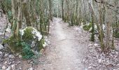 Tour Wandern La Palud-sur-Verdon - Verdon, le sentier Martel - Photo 5