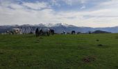 Trail Walking Larnat - Cap de la Lesse - Photo 9