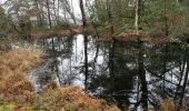 Tour Wandern Fontainebleau - croix daugas - Photo 1