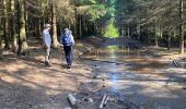 Trail Walking Paliseul - Maissin, pvl juillet 2025 - Photo 18