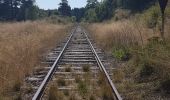 Tour Wandern Saint-Alyre-d'Arlanc - St Alyre d'Arlanc - Photo 3