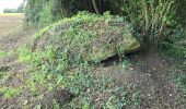 Randonnée Marche Nogent-le-Bernard - Nogent-le-Bernard - Menhir de Courtevrais - Photo 8