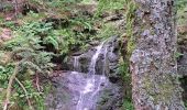 Excursión Senderismo Le Fau - Tour du puy d'Orcet - Photo 1