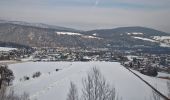 Tour Zu Fuß Gemeinde Enzenreith - Sonnleitenweg (Enzenreith) - Photo 4