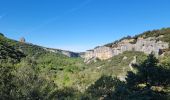 Randonnée Marche Buoux - Sivergues - Photo 12