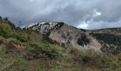 Percorso Marcia Bayons - chemin du lac des Monges au sommet - Photo 10