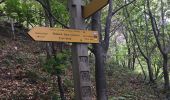 Trail Walking Irun - Boucle 3 couronnes  - Photo 2