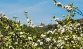 Tour Zu Fuß Leutenbach - Ehrenbachtalweg - Photo 7