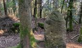 Percorso Marcia Saint-Jean-Saverne - circuit, St Michel, château warthenberg - Photo 10