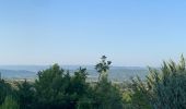 Tour Wandern Vaugines - Luberon Vaugines Cucuron  - Photo 13