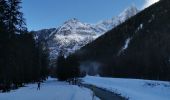 Tour Wandern Chamonix-Mont-Blanc - CHAMONIX... depuis l' Arveyron jusqu'à la Floria.  - Photo 1