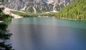 Trail Walking Prags - Braies - lac de braies 1112m 20kms  - Photo 15