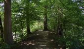 Trail On foot Asbach - [A3] Kirchspielweg - Photo 4