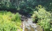 Tour Wandern Bastnach - Bastogne Mesa 280624 - Photo 7