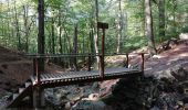 Percorso Marcia Spa - La forêt et les fagnes - Photo 1