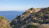 Trail Walking Ajaccio - Les iles Sanguinaires. Corse - Photo 5