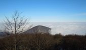 Tour Zu Fuß okres Vranov nad Topľou - Hermanovský turistický okruh - Photo 9