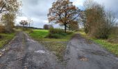 Trail Walking Vielsalm - Bihain 191123 - Photo 10