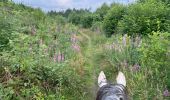 Trail Horseback riding Neufchâteau - Bois d’Ospot depuis les pompiers - Photo 3