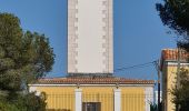 Tour Wandern Ramatuelle - Ramatuelle - de Bonne Terrasse au Rocher des Portes en passant par le phare - Photo 20