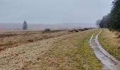 Randonnée Marche Waimes - les caillebotis de la fagne wallonne  - Photo 14