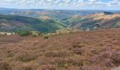 Tour Wandern Pont de Montvert - Sud Mont Lozère - arsel du pt de montvert a bedoues - Photo 10