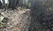 Trail Walking Champagnac-la-Rivière - les feuillardiers - Photo 5