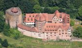 Tour Zu Fuß Rieneck - Roter Hase, Rundwanderweg Rieneck - Photo 7