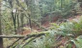 Trail Walking Newel - RÖMERPFAD - Photo 17