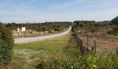 Tour Wandern Koksijde - Coxyde Randonnée schipgat plus variante perso - Photo 8